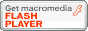 Download Flash Player
